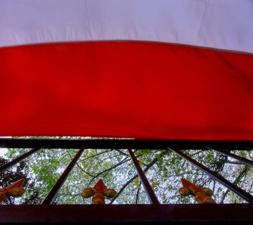 20180803135059 IMG 8721 01 360x320