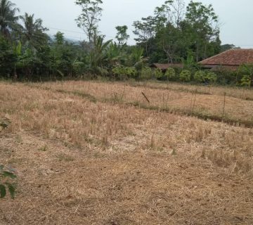 IMG 20180809 WA0055 360x320