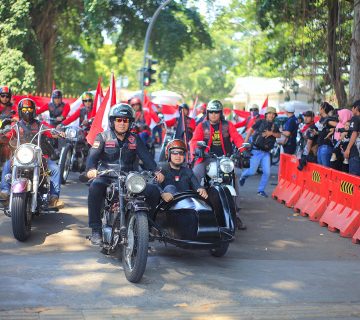 IMG 6537 copy 360x320