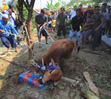 IMG 7329 copy 360x320