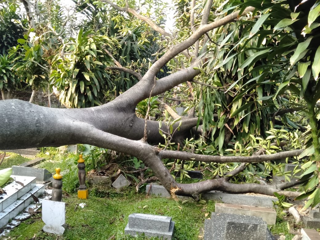 IMG 20181001 WA0034