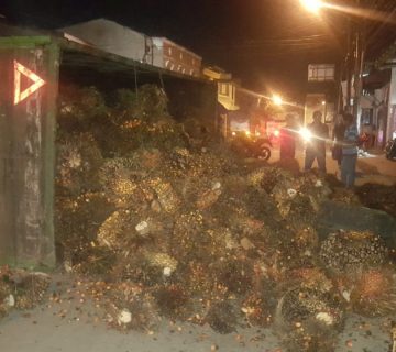 IMG 20181113 WA0003 360x320
