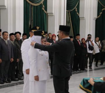 FB IMG 1546162512635 360x320