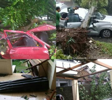 IMG 20181206 194040 360x320