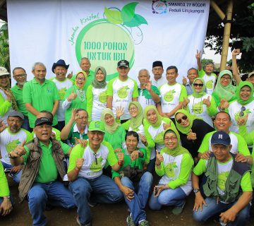 IMG 20181223 225914 382 360x320