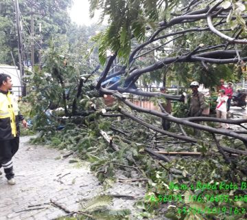 IMG 20190223 WA0019 360x320
