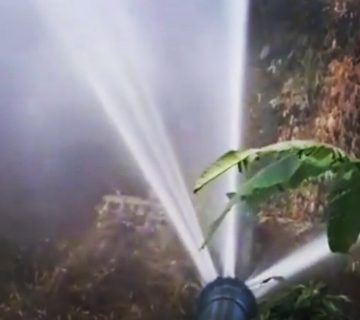 IMG 20190814 120144 090 360x320