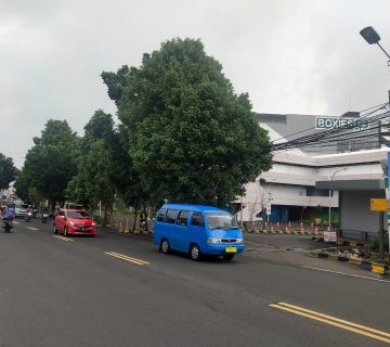 IMG 20200220 WA0030 360x320