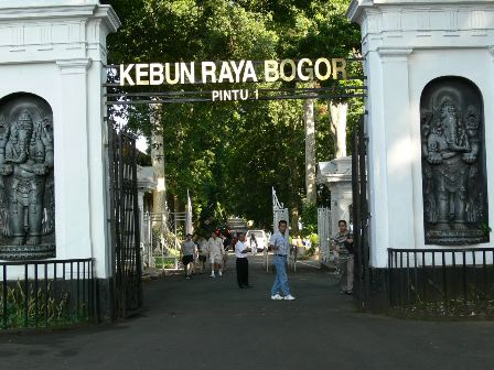Kebun raya bogor pintu 1