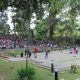 Taman Expresi 80x80
