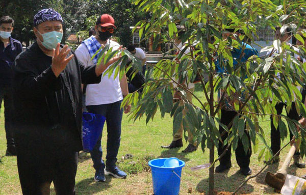 TANAM POHON