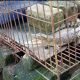 IMG 20220418 WA0021 80x80