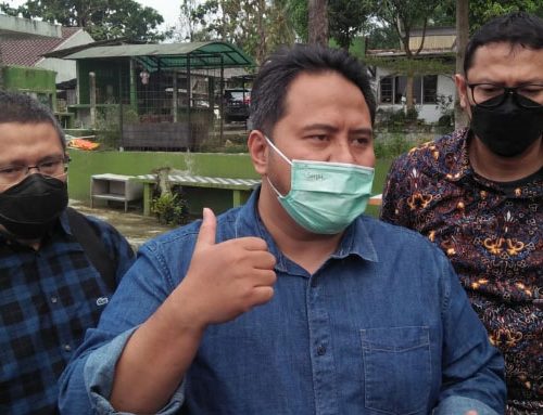 Rino indira 500x383