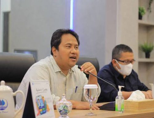 Rino 500x383