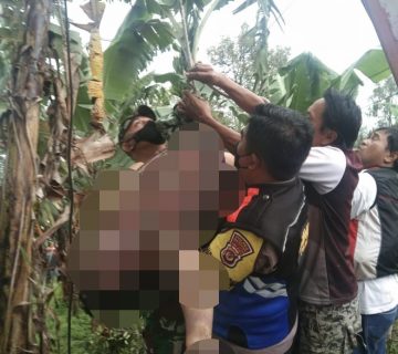 IMG 20221110 WA0004 360x320