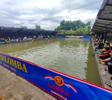 IMG 20221126 WA0010 360x320