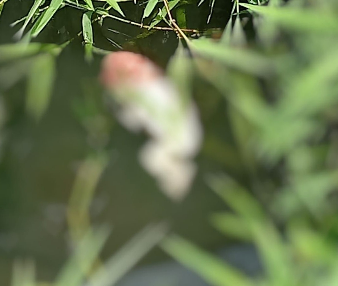 IMG 20221218 191753