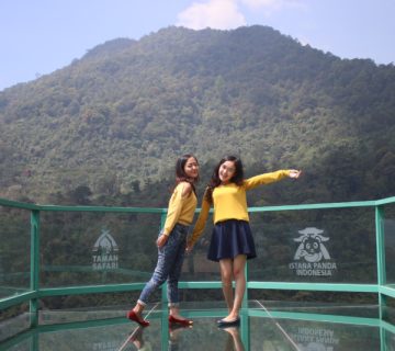 495 WhatsApp Image 2022 12 01 at 15 12 37 360x320