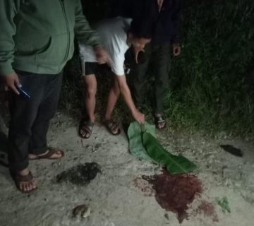 IMG 20230310 000403 360x320