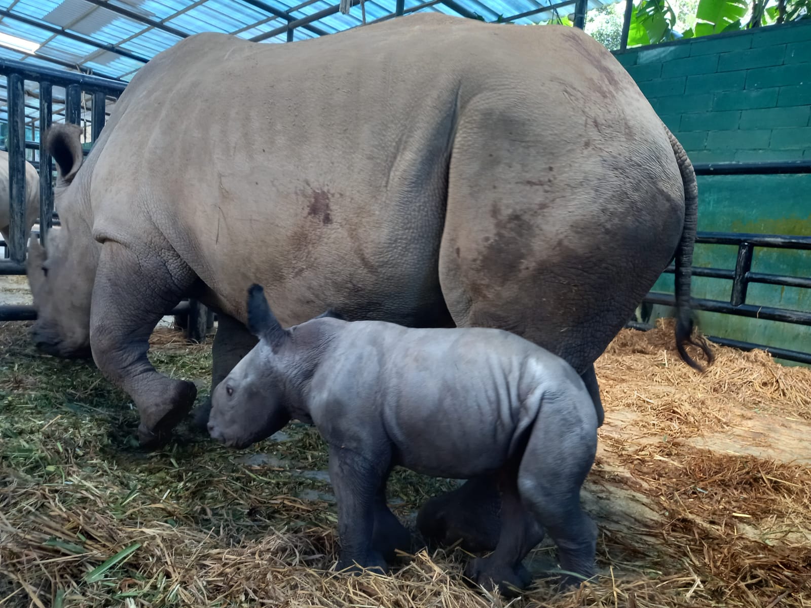 Gambar WhatsApp 2023 04 08 pukul 14 10 39