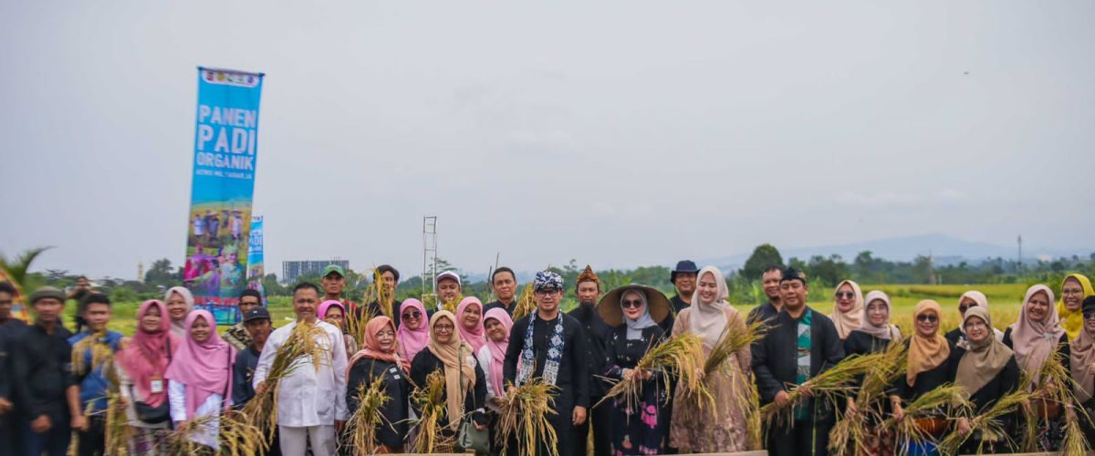 IMG 20231211 WA0016 1200x500