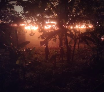 IMG 20231230 WA0003 360x320