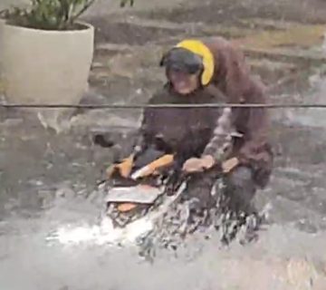 IMG 20231231 WA0012 360x320