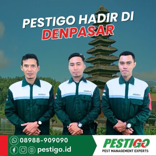 IMG 20231231 WA0033 500x500