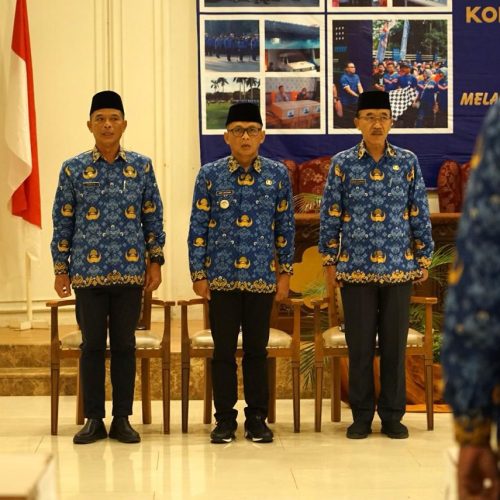 IMG 20240530 WA0001 500x500