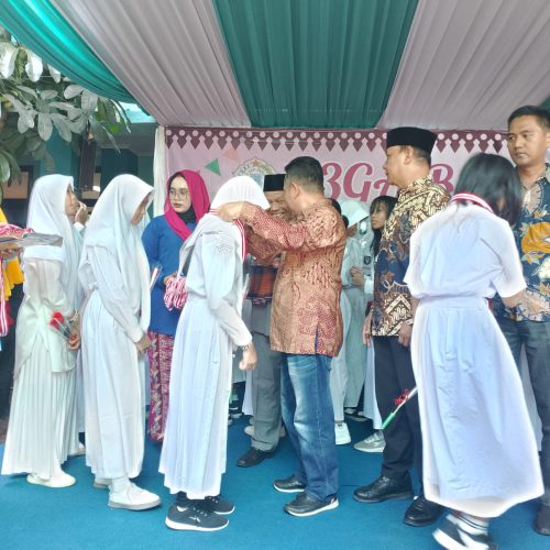IMG 20240613 WA0024 500x500