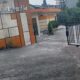 IMG 20240819 WA0004 80x80
