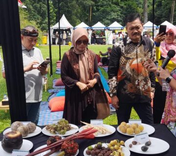 IMG 20241228 WA0051 360x320