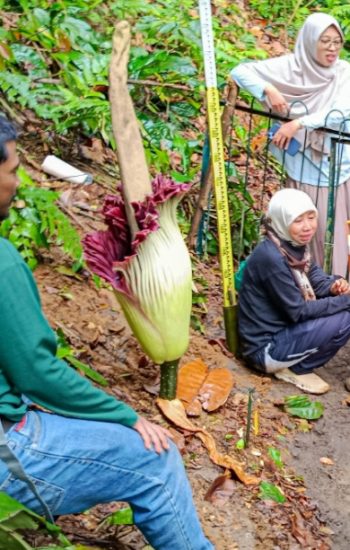 Screenshot_20260209-020358_1