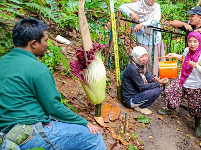Screenshot 20260209 020358 1 667x500