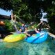 IMG 20260511 WA0007 80x80