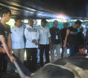 IMG 20260527 WA0020 360x320